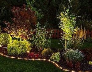 landscape lighting