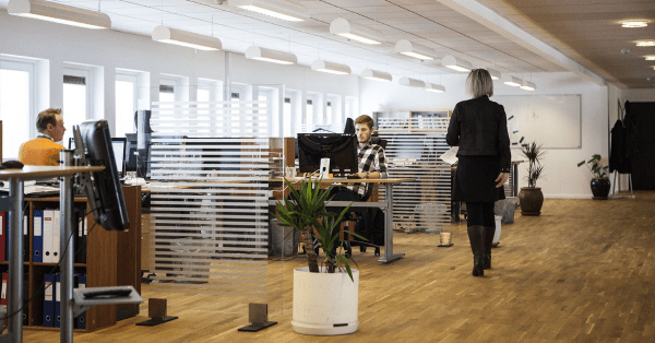 office design trends
